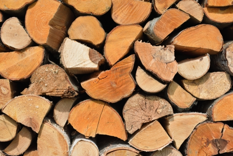 picture of unseasoned wood
